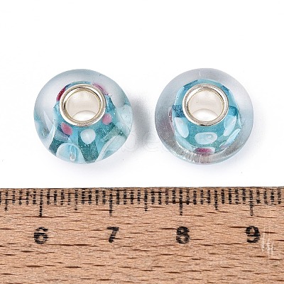Handmade Lampwork & Brass Core European Beads LAMP-N044-10S-01-1