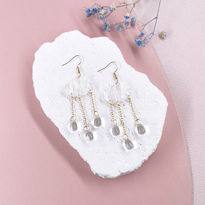 Cloud with Raindrop Tassel Alloy Acrylic Dangle Earrings FS-WG752DC-01-1