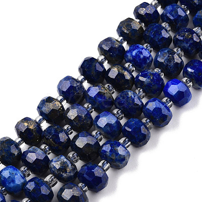 Natural Lapis Lazuli Beads Strands G-N327-08B-1