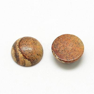Natural Picture Jasper Cabochons G-R416-16mm-42-1