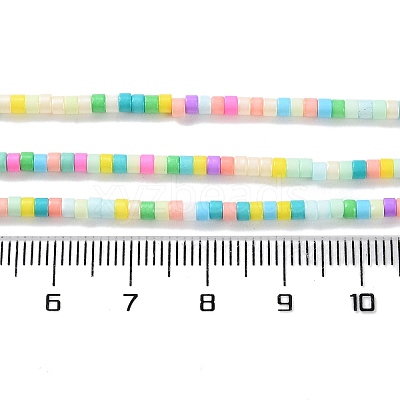 Handmade Lampwork Beads Strands LAMP-L078-008I-1