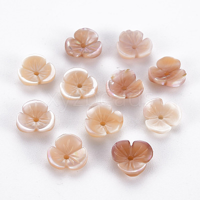 Natural Pink Shell Beads SSHEL-N034-119B-01-1