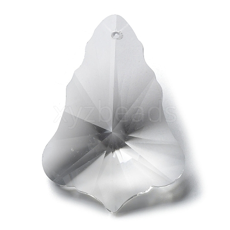 Transparent Glass Pendants GLAA-R223-15-1