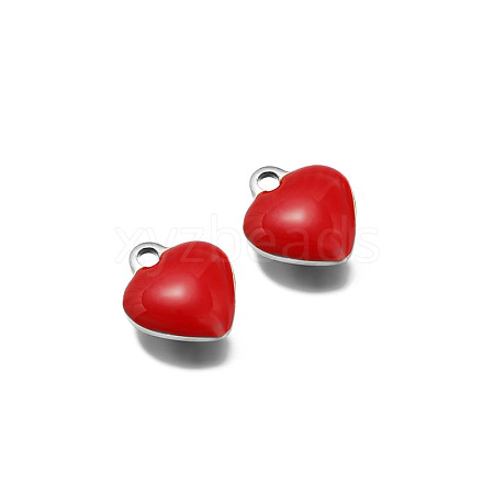 Stainless Steel Charms PW-WG0E535-06-1