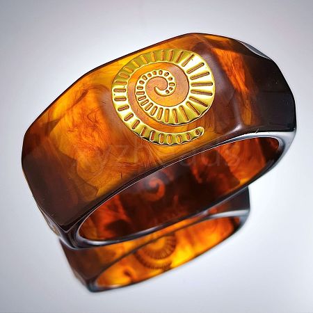 Ocean 304 Stainless Steel Resin Bangles WGF2787-01-1