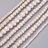 Natural Cultured Freshwater Pearl Beads Strands PEAR-L021-16-01A-1