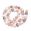 Natural Cultured Freshwater Pearl Beads Strands PEAR-N014-08E-01-3