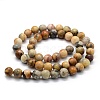 Natural Crazy Lace Agate Beads Strands G-G763-10-8mm-2