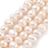 Natural Cultured Freshwater Pearl Beads Strands PEAR-C003-12D-1
