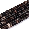 Natural Biotite Beads Strands G-N367-03A-13-2