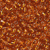 6/0 Glass Seed Beads SEED-US0003-4mm-29-2