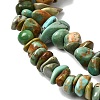 Natural HuBei Turquoise Bead Strands G-H345-A01-04-4