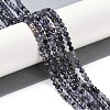 Natural Iolite Beads Strands X-G-G139-A11-03-2