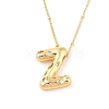 Brass Micro Pave Clear Cubic Zirconia Pendant Necklaces NJEW-Z038-01G-Z-2