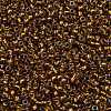 TOHO Round Seed Beads SEED-JPTR11-1853-2