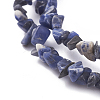 Natural Sodalite Beads Strands LS-G-G782-31-3