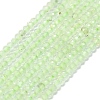 Natural Prehnite Beads Strands G-G106-A26-01-1