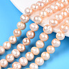 Natural Cultured Freshwater Pearl Beads Strands PEAR-N013-07L-1