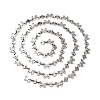 304 Stainless Steel Butterfly Link Chains CHS-S012-10P-2