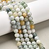 Natural Myanmar Jade Beads Strands G-E576-08A-1