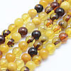 Natural Amber Beads Strands G-P336-16-6mm-1