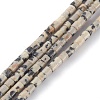 Natural Dalmatian Jasper Beads Strands G-H255-10-1