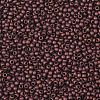 TOHO Round Seed Beads SEED-XTR11-0222F-2