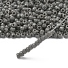 TOHO 6/0 Round Beads X-SEED-TR06-0053D-2