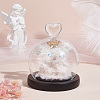   1Pc Heart Glass Dome Cover DIY-PH0022-42B-5