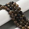 Natural Chiastolite Beads Strands G-Q161-A03-03-2