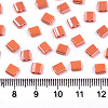 2-Hole Glass Seed Beads SEED-S031-L-ST130-2