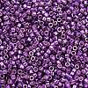 MIYUKI Delica Beads X-SEED-J020-DB2508-2
