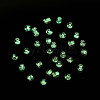 Glow in the Dark Luminous Transparent Glass Seed Beads SEED-YWC0001-01H-7