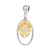 Alloy Pendants PALLOY-E540-01P-1