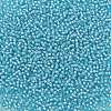 TOHO Round Seed Beads SEED-XTR11-0930-2