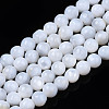 Natural Freshwater Shell Beads Strands X-SHEL-N003-24-A01-1