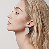 ANATTASOUL 2 Pairs 2 Colors Brass Dangle Stud Earrings EJEW-AN0004-77-6