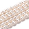 Natural Cultured Freshwater Pearl Beads Strands PEAR-L033-83-1