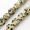 Natural Dalmation Jasper Bead Strands X-G-R189-14-1