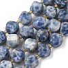 Natural Blue Spot Jasper Beads Strands G-U023-A05-01-2