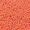 MIYUKI Round Rocailles Beads X-SEED-G008-RR0424-2