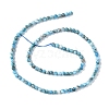 Natural Apatite Beads Strands G-I254-08E-3