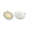Fruit Alloy Enamel Charms PALLOY-S058-01P-11-1