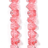 Transparent Glass Enamel Beads Strands GLAA-B021-05H-1