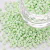 8/0 Opaque Glass Seed Beads SEED-S048-N-009-1