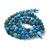 Natural Apatite Beads Strands G-J400-E01-04-2