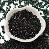 Spray Painted Glass Seed Beads SEED-F005-10A-05-2