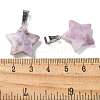 Natural Lepidolite Pendants X-G-B127-12P-07-3