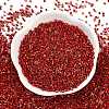 Electroplate Glass Seed Beads SEED-H003-10C-3