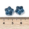 Transparent Glass Beads DGLA-E004-12I-3